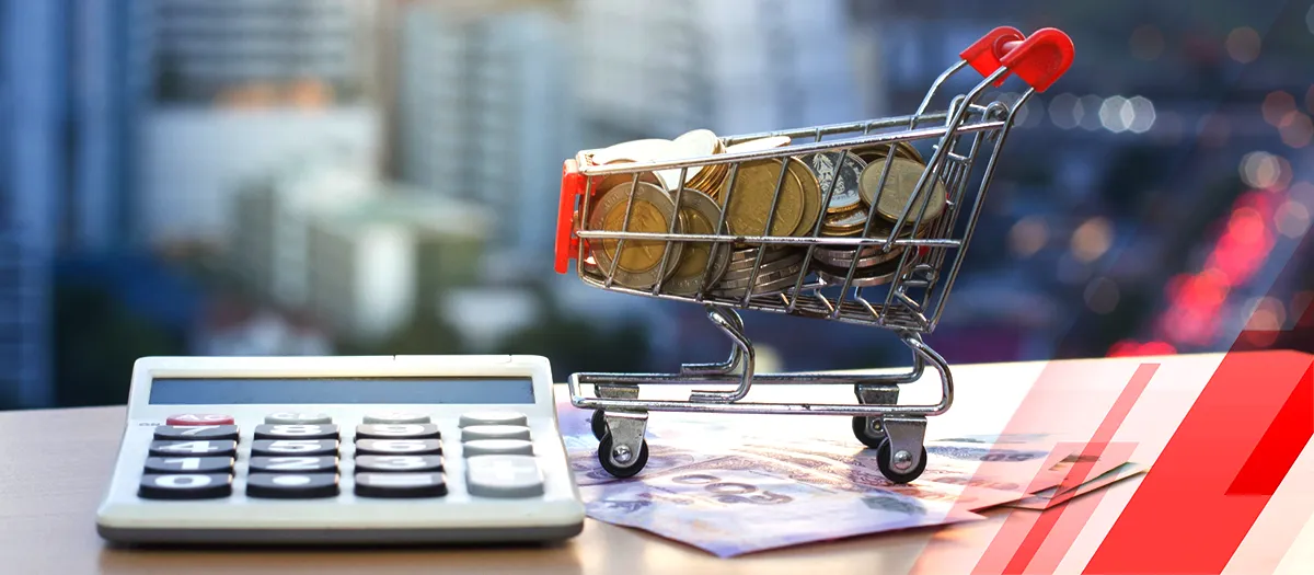 All You Need To Know About Consumer Finance in 2024